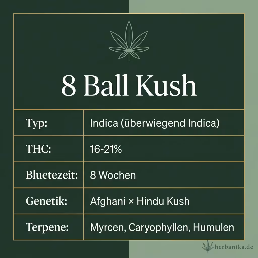 Infografik mit 8 Ball Kush Key Facts: Typ Indica (überwiegend Indica), THC 16-21%, Bluetezeit 8 Wochen, Genetik Afghani × Hindu Kush und Terpene Myrcen, Caryophyllen, Humulen