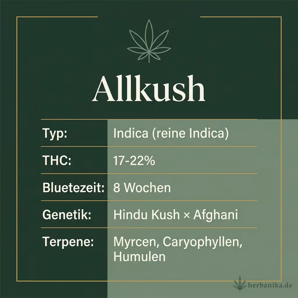 Infografik mit Allkush Key Facts: Typ Indica (reine Indica), THC 17-22%, Bluetezeit 8 Wochen, Genetik Hindu Kush × Afghani und Terpene Myrcen, Caryophyllen, Humulen