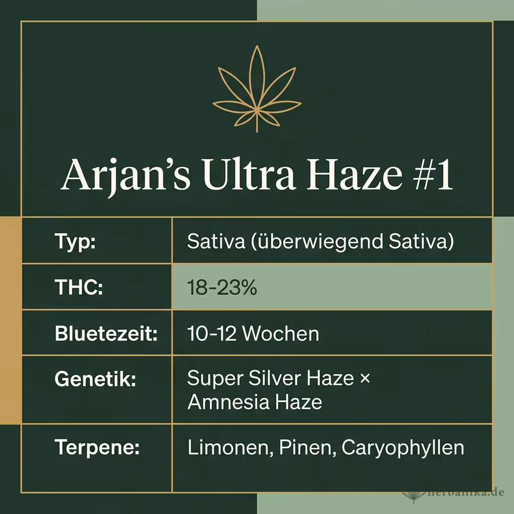 Infografik mit Arjan's Ultra Haze #1 Key Facts: Typ Sativa (überwiegend Sativa), THC 18-23%, Bluetezeit 10-12 Wochen, Genetik Super Silver Haze × Amnesia Haze und Terpene Limonen, Pinen, Caryophyllen