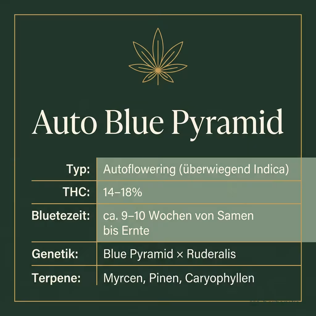 Infografik mit Auto Blue Pyramid Key Facts: Typ Autoflowering (überwiegend Indica), THC 14-18%, Bluetezeit ca. 9-10 Wochen von Samen bis Ernte, Genetik Blue Pyramid × Ruderalis und Terpene Myrcen, Pinen, Caryophyllen