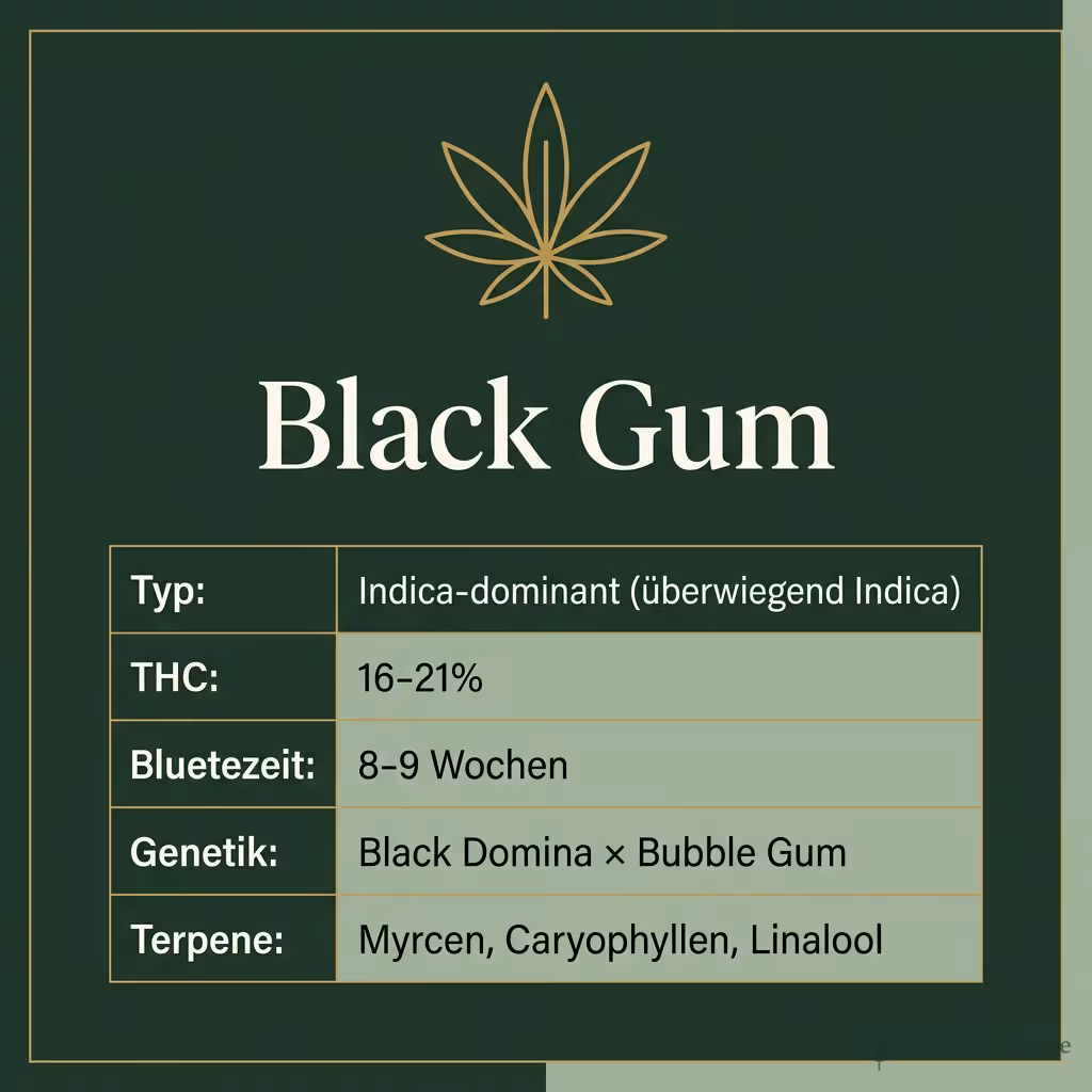 Infografik mit Black Gum Key Facts: Typ Indica-dominant (überwiegend Indica), THC 16-21%, Bluetezeit 8-9 Wochen, Genetik Black Domina × Bubble Gum und Terpene Myrcen, Caryophyllen, Linalool