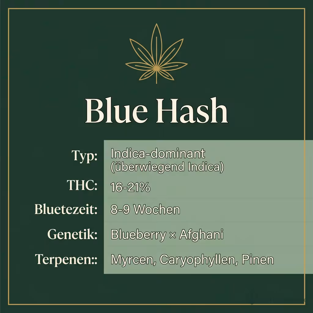 Infografik mit Blue Hash Key Facts: Typ Indica-dominant (überwiegend Indica), THC 16-21%, Bluetezeit 8-9 Wochen, Genetik Blueberry × Afghani und Terpene Myrcen, Caryophyllen, Pinen