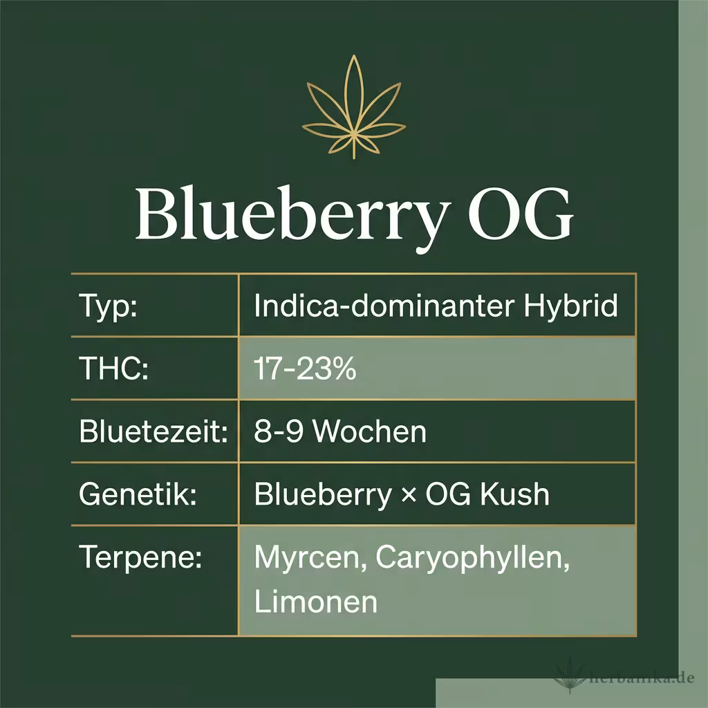 Infografik mit Blueberry OG Key Facts: Typ Indica-dominanter Hybrid, THC 17-23%, Bluetezeit 8-9 Wochen, Genetik Blueberry × OG Kush und Terpene Myrcen, Caryophyllen, Limonen