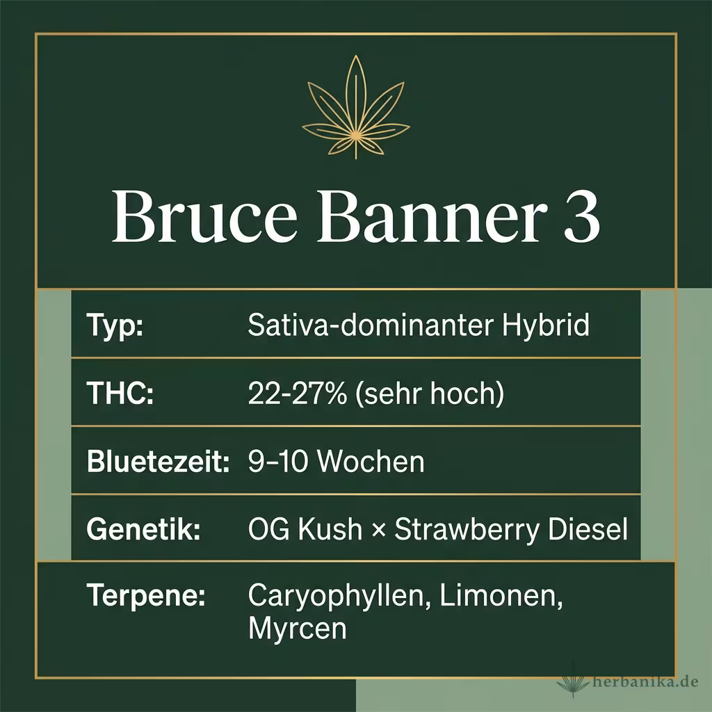 Infografik mit Bruce Banner 3 Key Facts: Typ Sativa-dominanter Hybrid, THC 22-27% (sehr hoch), Bluetezeit 9-10 Wochen, Genetik OG Kush × Strawberry Diesel und Terpene Caryophyllen, Limonen, Myrcen