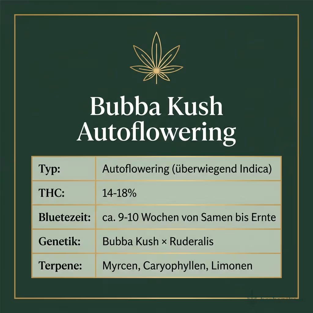 Infografik mit Bubba Kush Autoflowering Key Facts: Typ Autoflowering (überwiegend Indica), THC 14-18%, Bluetezeit ca. 9-10 Wochen von Samen bis Ernte, Genetik Bubba Kush × Ruderalis und Terpene Myrcen, Caryophyllen, Limonen