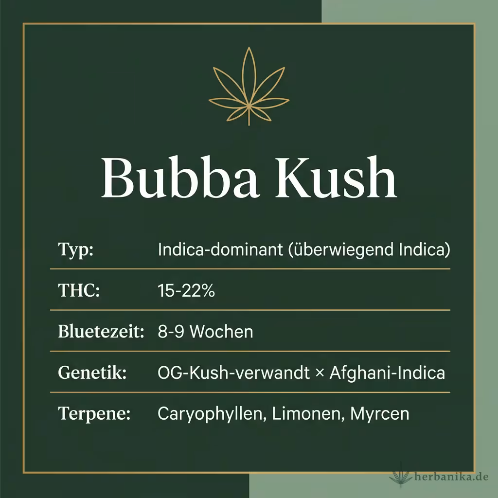 Infografik mit Bubba-Kush Key Facts: Typ Indica-dominant, THC 15-22%, Bluetezeit 8-9 Wochen, Genetik OG-Kush-verwandt x Afghani und Terpene Caryophyllen, Limonen, Myrcen