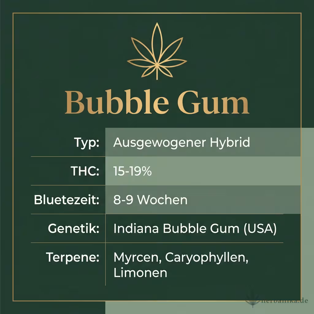 Infografik mit Bubble Gum Key Facts: Typ Ausgewogener Hybrid, THC 15-19%, Bluetezeit 8-9 Wochen, Genetik Indiana Bubble Gum (USA) und Terpene Myrcen, Caryophyllen, Limonen