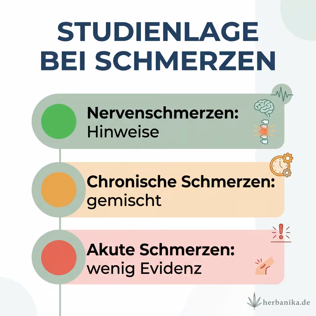 Infografik Studienlage bei Schmerzen: Nervenschmerzen mit Hinweisen, chronische Schmerzen gemischt, akute Schmerzen wenig Evidenz