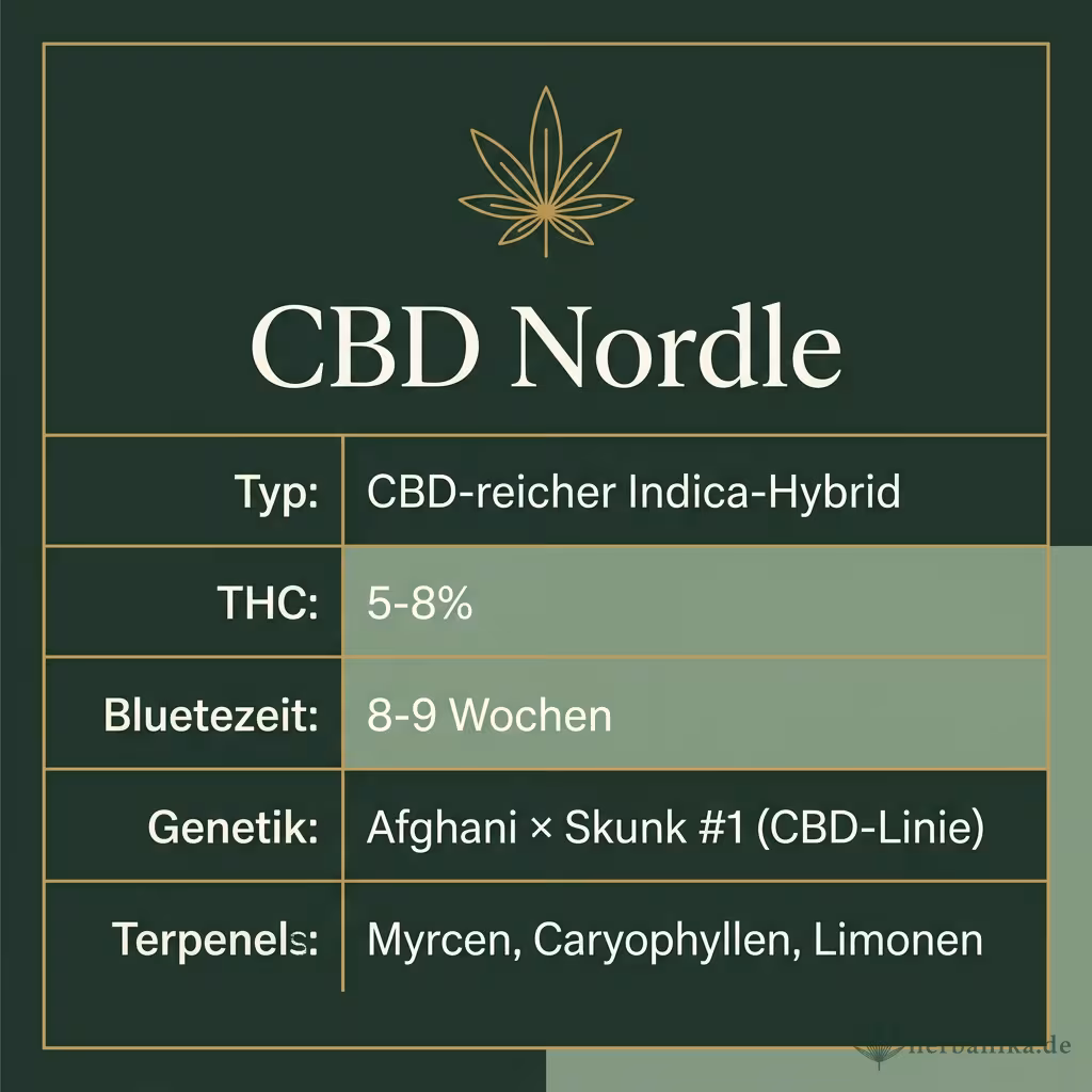Infografik mit CBD Nordle Key Facts: Typ CBD-reicher Indica-Hybrid, THC 5-8%, Bluetezeit 8-9 Wochen, Genetik Afghani × Skunk #1 (CBD-Linie) und Terpene Myrcen, Caryophyllen, Limonen