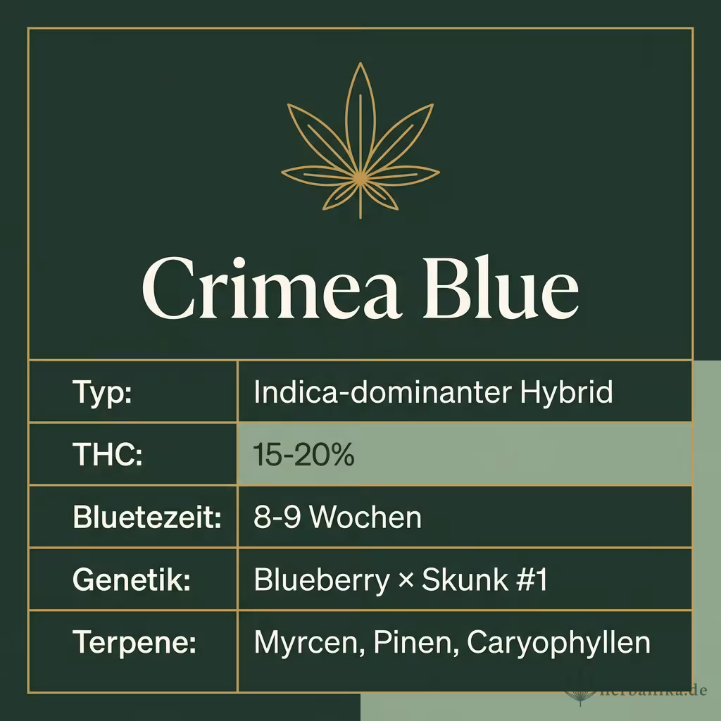 Infografik mit Crimea Blue Key Facts: Typ Indica-dominanter Hybrid, THC 15-20%, Bluetezeit 8-9 Wochen, Genetik Blueberry × Skunk #1 und Terpene Myrcen, Pinen, Caryophyllen