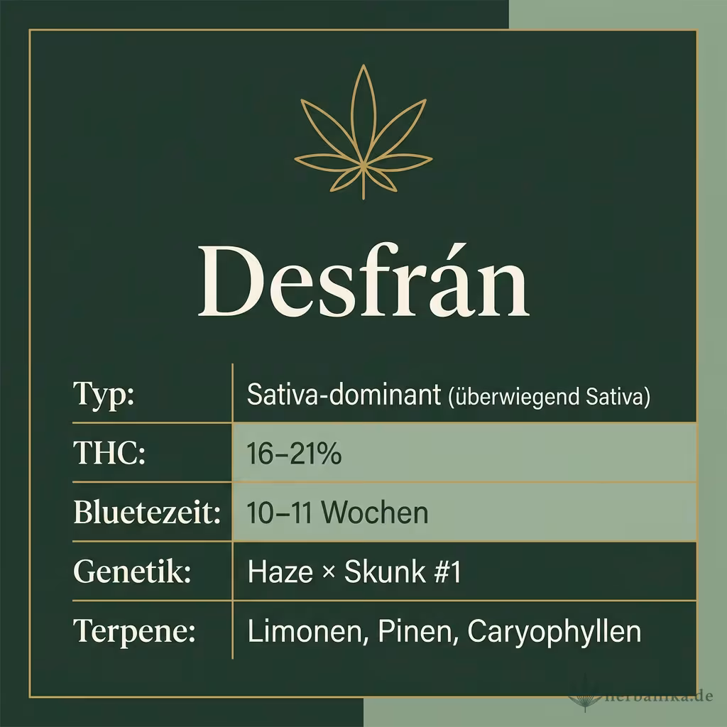 Infografik mit Desfrán Key Facts: Typ Sativa-dominant (überwiegend Sativa), THC 16-21%, Bluetezeit 10-11 Wochen, Genetik Haze × Skunk #1 und Terpene Limonen, Pinen, Caryophyllen