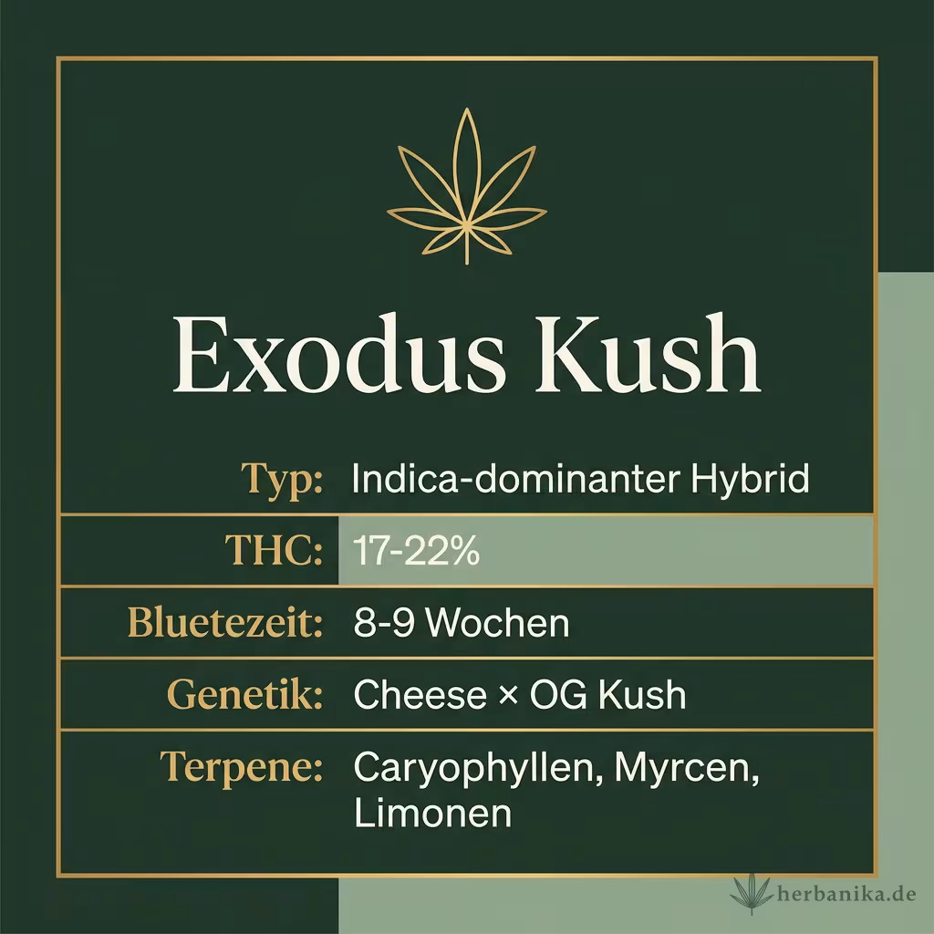 Infografik mit Exodus Kush Key Facts: Typ Indica-dominanter Hybrid, THC 17-22%, Bluetezeit 8-9 Wochen, Genetik Cheese × OG Kush und Terpene Caryophyllen, Myrcen, Limonen