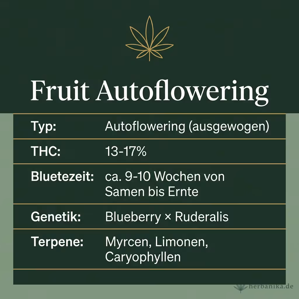 Infografik mit Fruit Autoflowering Key Facts: Typ Autoflowering (ausgewogen), THC 13-17%, Bluetezeit ca. 9-10 Wochen von Samen bis Ernte, Genetik Blueberry × Ruderalis und Terpene Myrcen, Limonen, Caryophyllen