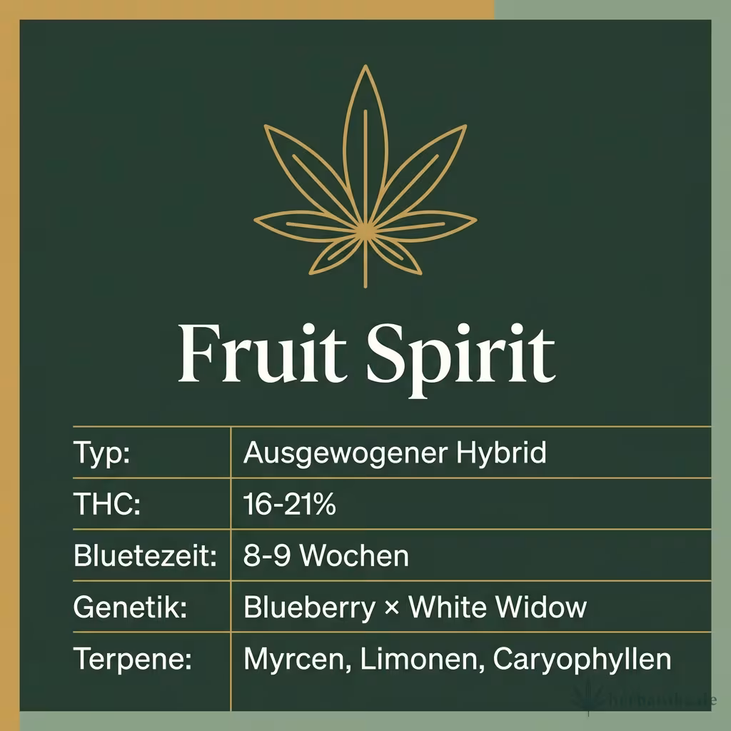 Infografik mit Fruit Spirit Key Facts: Typ Ausgewogener Hybrid, THC 16-21%, Bluetezeit 8-9 Wochen, Genetik Blueberry × White Widow und Terpene Myrcen, Limonen, Caryophyllen