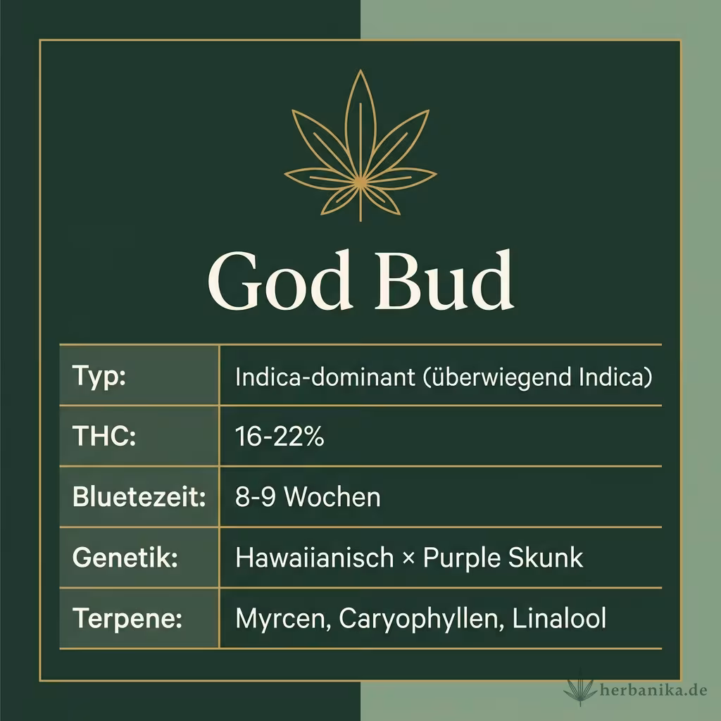 Infografik mit God Bud Key Facts: Typ Indica-dominant (überwiegend Indica), THC 16-22%, Bluetezeit 8-9 Wochen, Genetik Hawaiianisch × Purple Skunk und Terpene Myrcen, Caryophyllen, Linalool