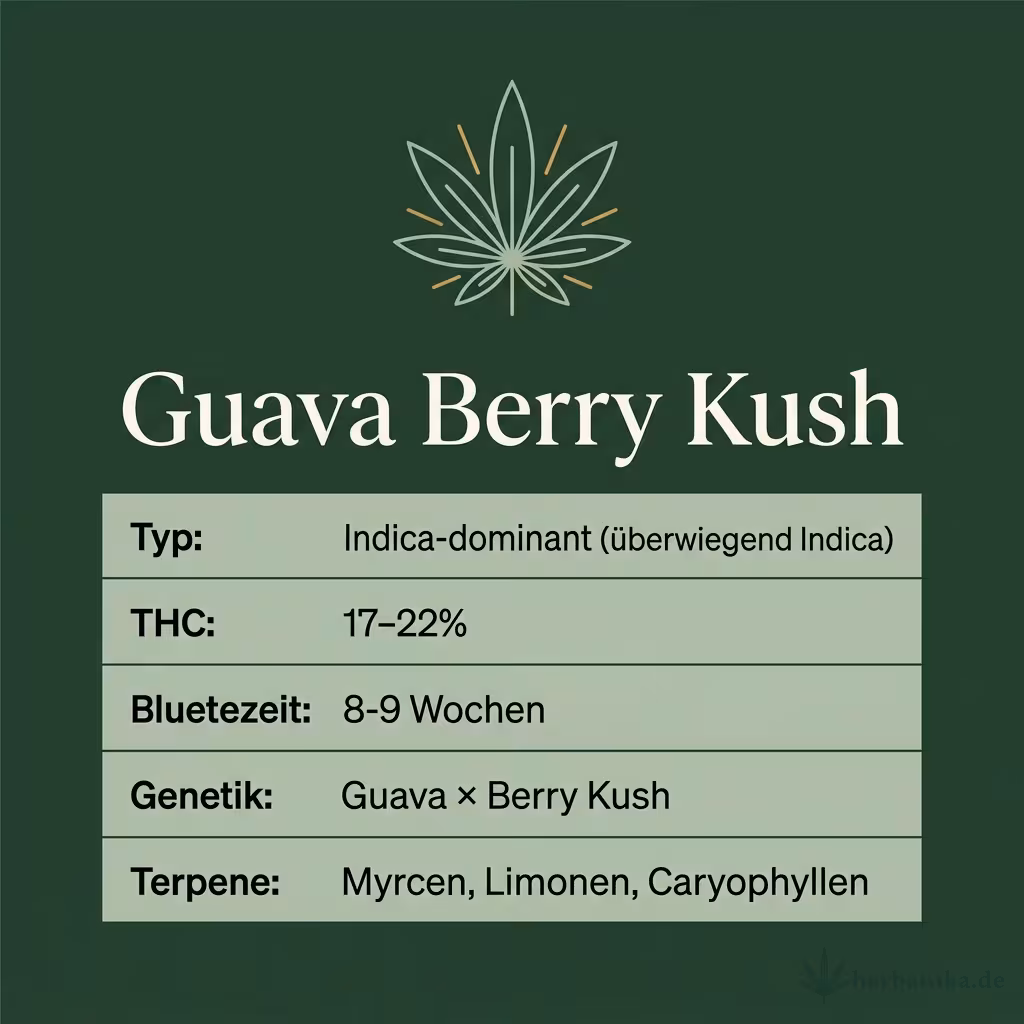 Infografik mit Guava Berry Kush Key Facts: Typ Indica-dominant (überwiegend Indica), THC 17-22%, Bluetezeit 8-9 Wochen, Genetik Guava × Berry Kush und Terpene Myrcen, Limonen, Caryophyllen