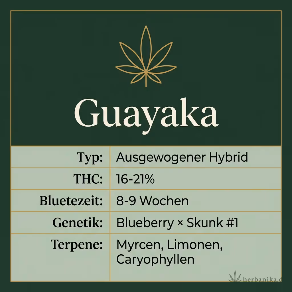 Infografik mit Guayaka Key Facts: Typ Ausgewogener Hybrid, THC 16-21%, Bluetezeit 8-9 Wochen, Genetik Blueberry × Skunk #1 und Terpene Myrcen, Limonen, Caryophyllen