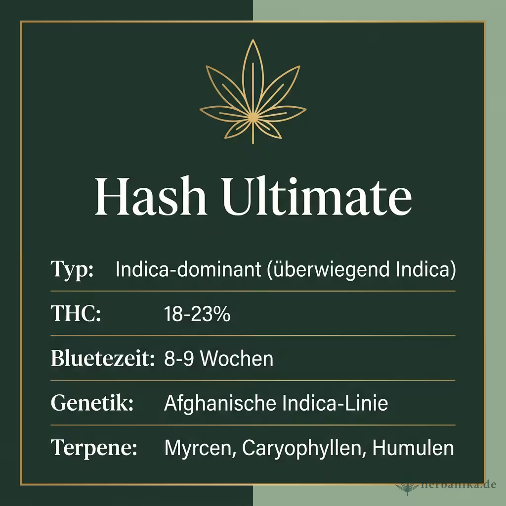 Infografik mit Hash Ultimate Key Facts: Typ Indica-dominant (überwiegend Indica), THC 18-23%, Bluetezeit 8-9 Wochen, Genetik Afghanische Indica-Linie und Terpene Myrcen, Caryophyllen, Humulen