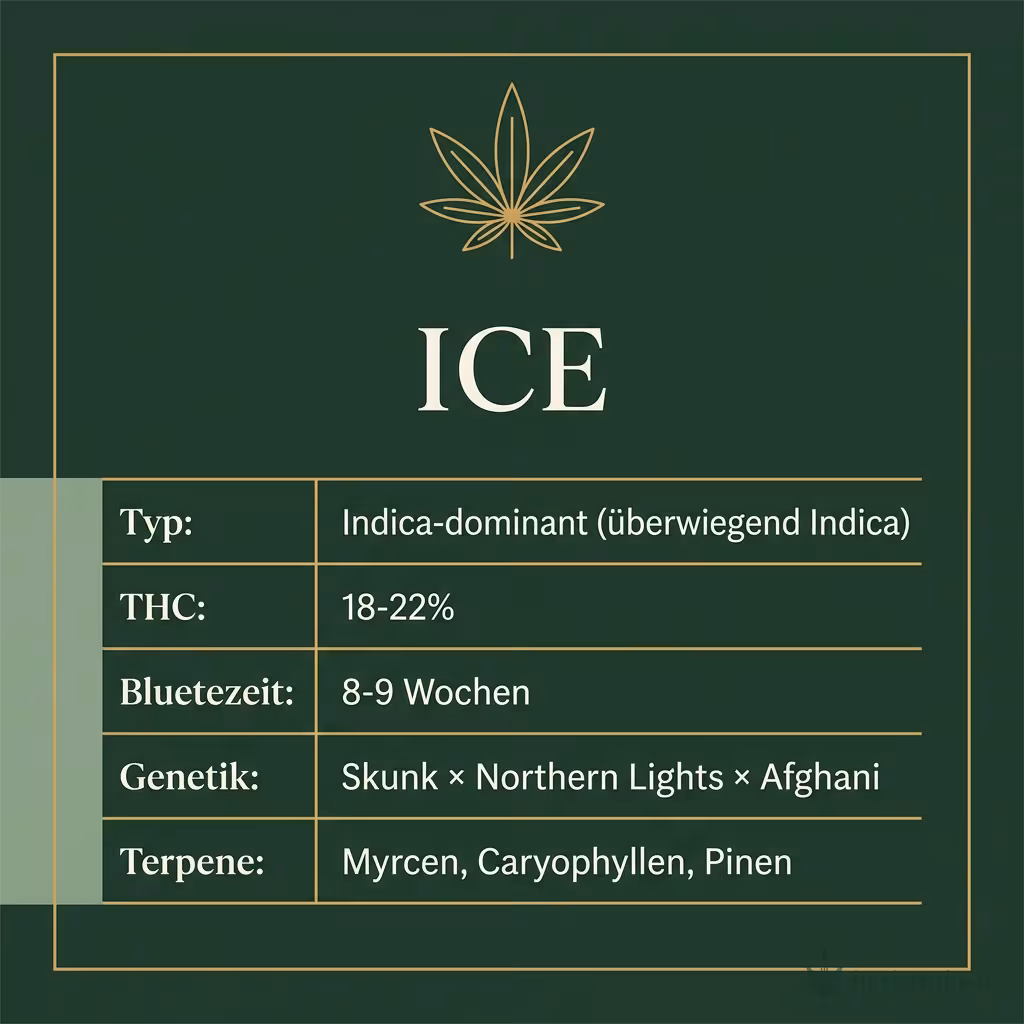 Infografik mit ICE Key Facts: Typ Indica-dominant (überwiegend Indica), THC 18-22%, Bluetezeit 8-9 Wochen, Genetik Skunk × Northern Lights × Afghani und Terpene Myrcen, Caryophyllen, Pinen