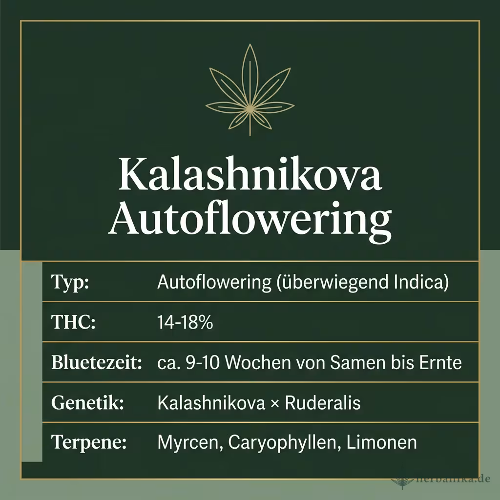 Infografik mit Kalashnikova Autoflowering Key Facts: Typ Autoflowering (überwiegend Indica), THC 14-18%, Bluetezeit ca. 9-10 Wochen von Samen bis Ernte, Genetik Kalashnikova × Ruderalis und Terpene Myrcen, Caryophyllen, Limonen