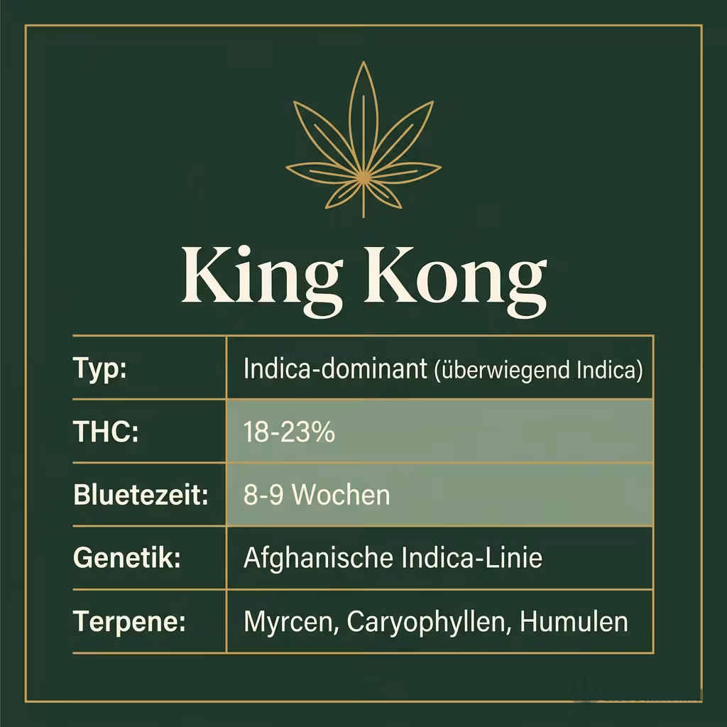 Infografik mit King Kong Key Facts: Typ Indica-dominant (überwiegend Indica), THC 18-23%, Bluetezeit 8-9 Wochen, Genetik Afghanische Indica-Linie und Terpene Myrcen, Caryophyllen, Humulen