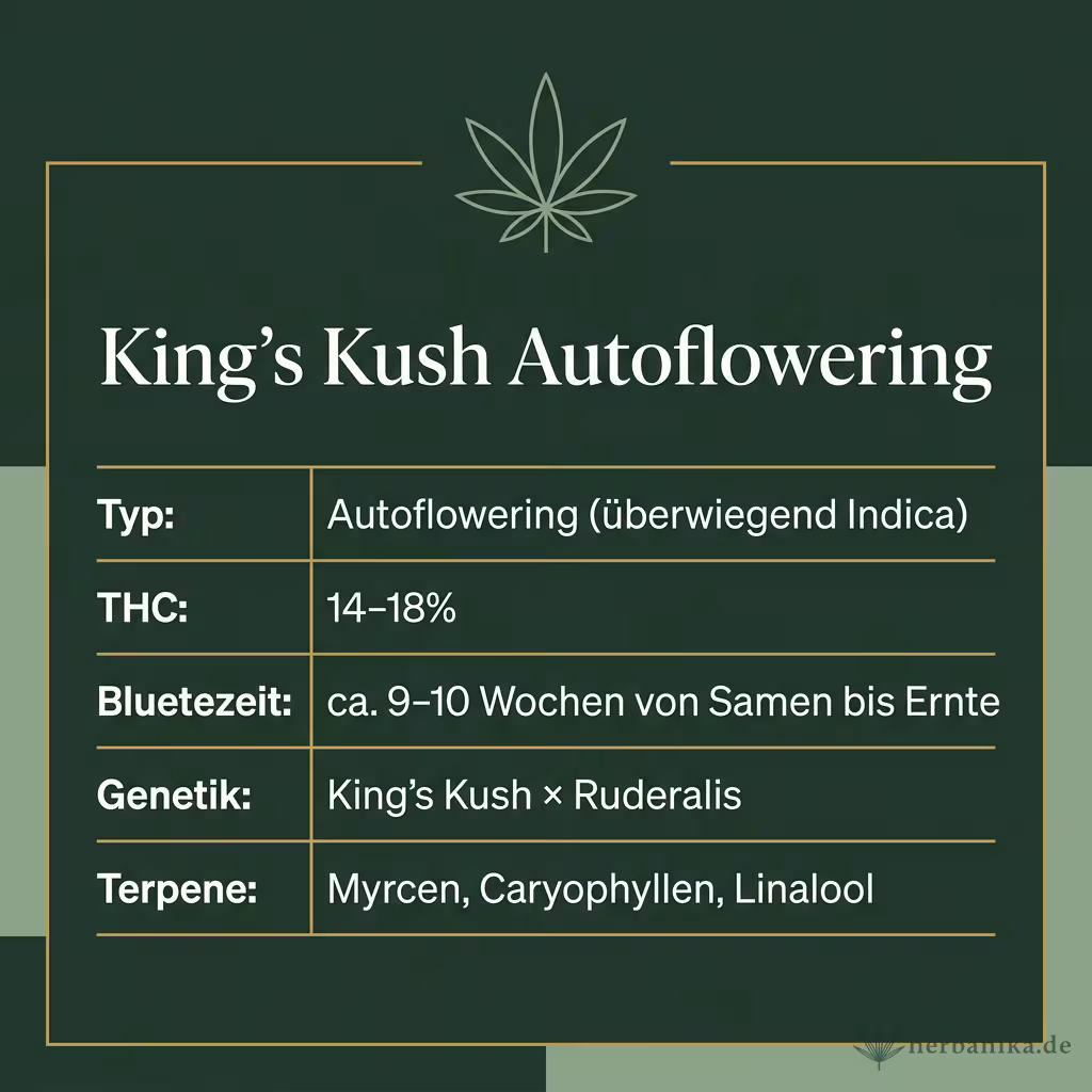 Infografik mit King's Kush Autoflowering Key Facts: Typ Autoflowering (überwiegend Indica), THC 14-18%, Bluetezeit ca. 9-10 Wochen von Samen bis Ernte, Genetik King's Kush × Ruderalis und Terpene Myrcen, Caryophyllen, Linalool