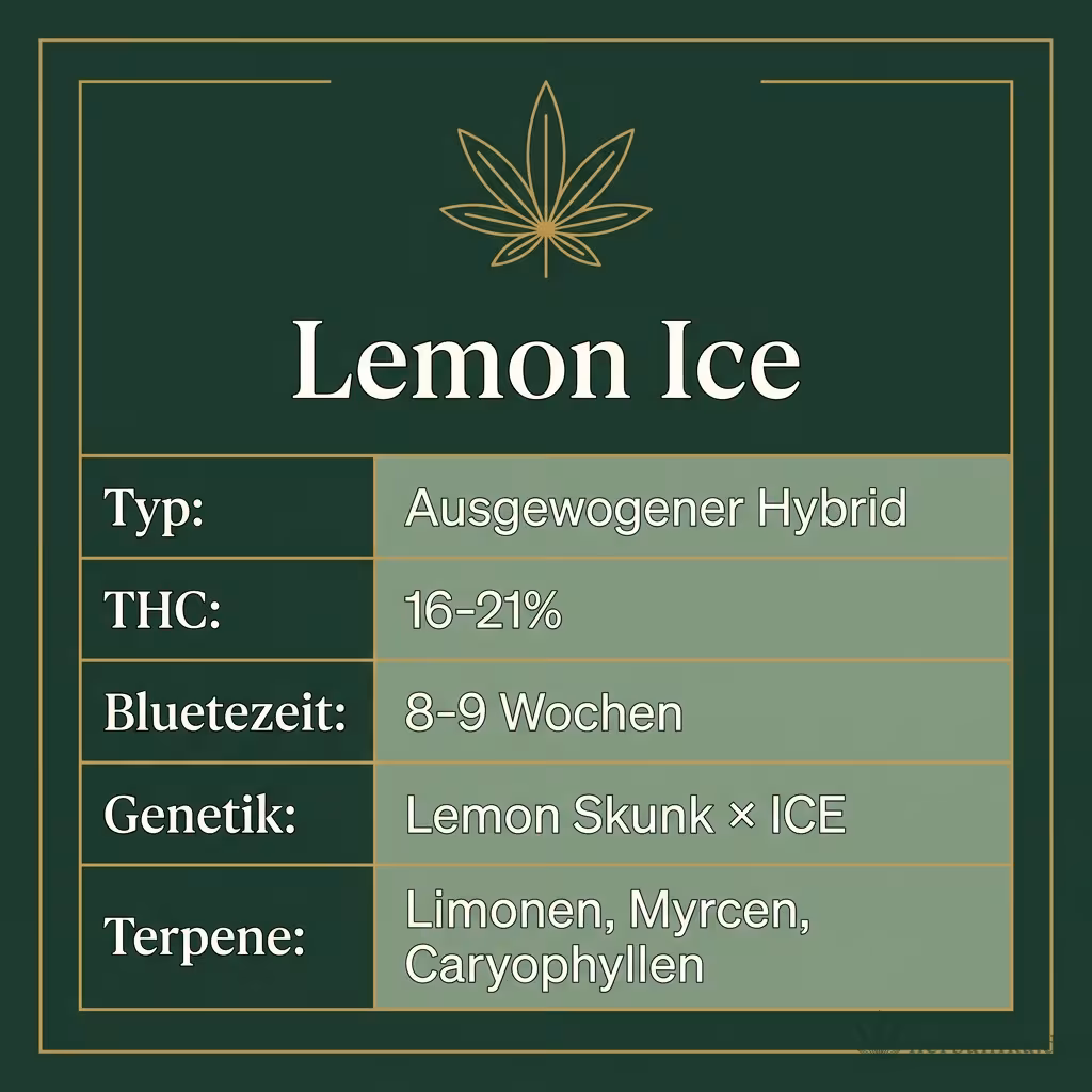 Infografik mit Lemon Ice Key Facts: Typ Ausgewogener Hybrid, THC 16-21%, Bluetezeit 8-9 Wochen, Genetik Lemon Skunk × ICE und Terpene Limonen, Myrcen, Caryophyllen