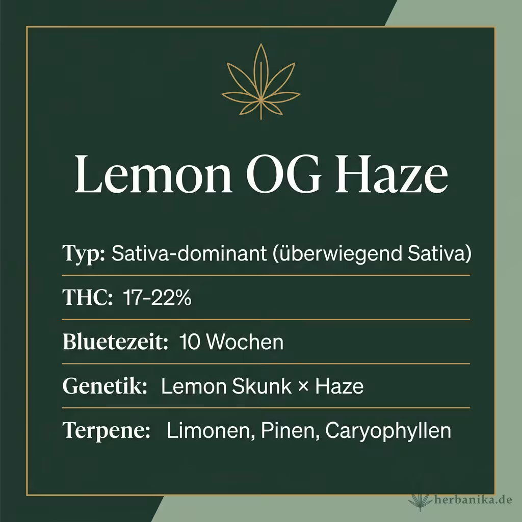 Infografik mit Lemon OG Haze Key Facts: Typ Sativa-dominant (überwiegend Sativa), THC 17-22%, Bluetezeit 10 Wochen, Genetik Lemon Skunk × Haze und Terpene Limonen, Pinen, Caryophyllen