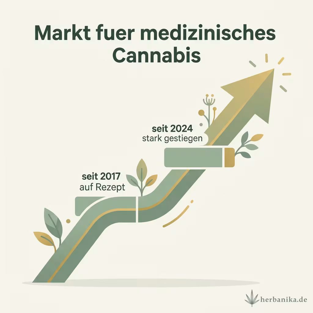 Infografik Markt für medizinisches Cannabis: seit 2017 auf Rezept, seit 2024 stark gestiegen