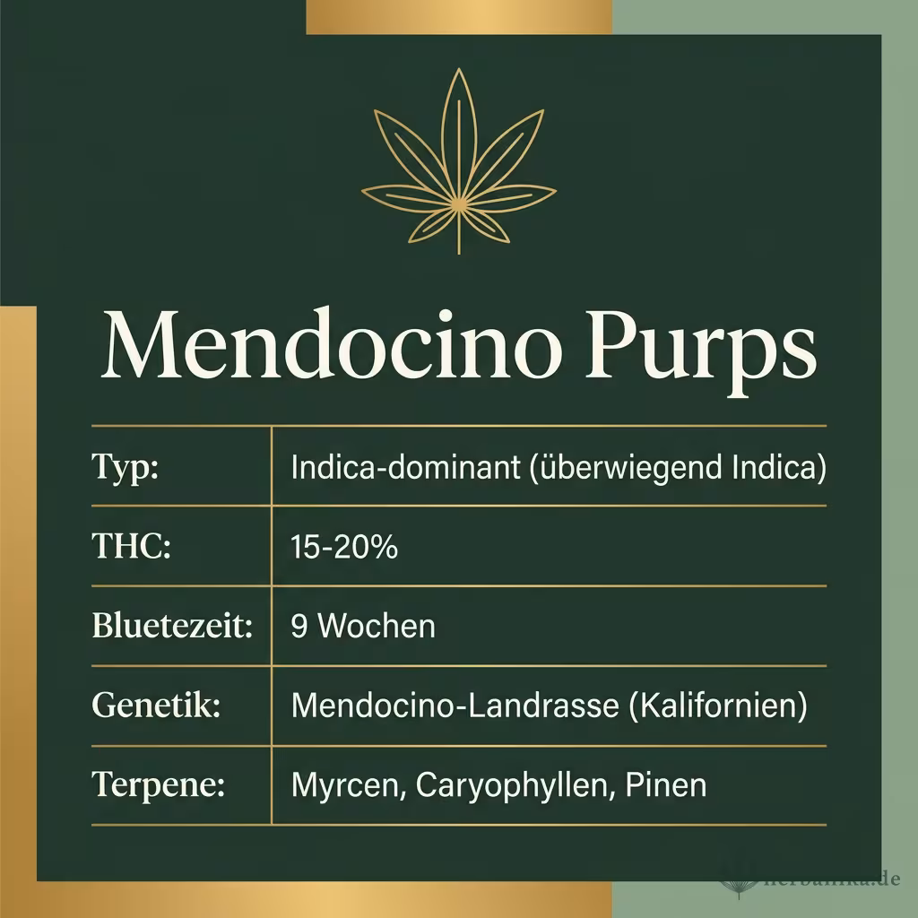 Infografik mit Mendocino Purps Key Facts: Typ Indica-dominant (überwiegend Indica), THC 15-20%, Bluetezeit 9 Wochen, Genetik Mendocino-Landrasse (Kalifornien) und Terpene Myrcen, Caryophyllen, Pinen