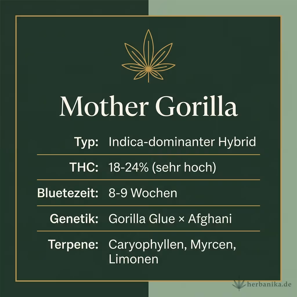 Infografik mit Mother Gorilla Key Facts: Typ Indica-dominanter Hybrid, THC 18-24% (sehr hoch), Bluetezeit 8-9 Wochen, Genetik Gorilla Glue × Afghani und Terpene Caryophyllen, Myrcen, Limonen