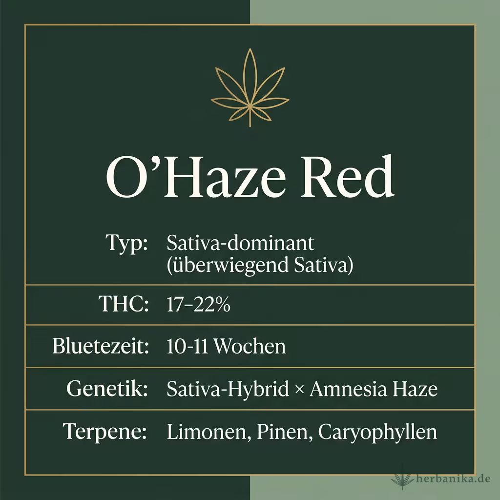 Infografik mit O'Haze Red Key Facts: Typ Sativa-dominant (überwiegend Sativa), THC 17-22%, Bluetezeit 10-11 Wochen, Genetik Sativa-Hybrid × Amnesia Haze und Terpene Limonen, Pinen, Caryophyllen