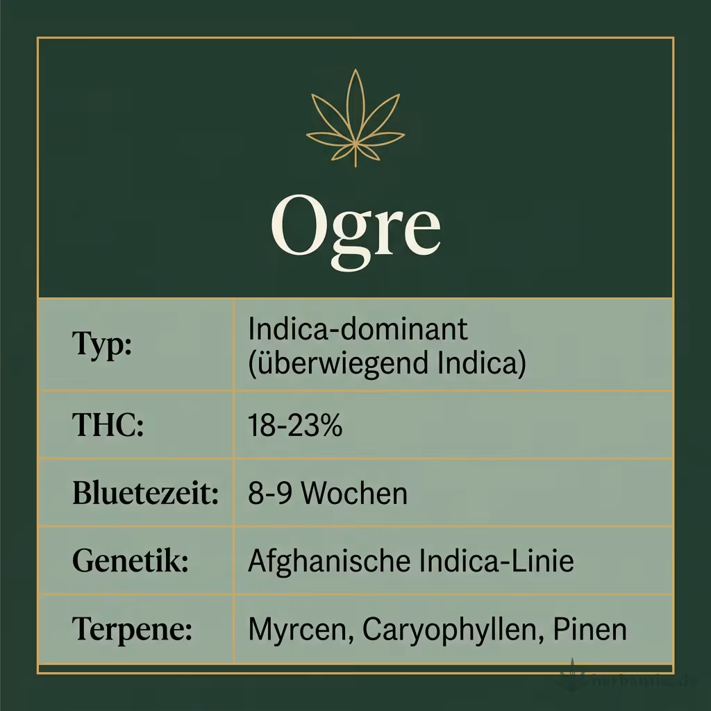 Infografik mit Ogre Key Facts: Typ Indica-dominant (überwiegend Indica), THC 18-23%, Bluetezeit 8-9 Wochen, Genetik Afghanische Indica-Linie und Terpene Myrcen, Caryophyllen, Pinen