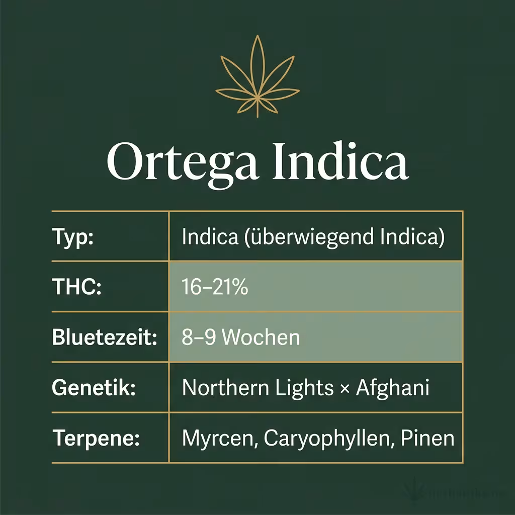Infografik mit Ortega Indica Key Facts: Typ Indica (überwiegend Indica), THC 16-21%, Bluetezeit 8-9 Wochen, Genetik Northern Lights × Afghani und Terpene Myrcen, Caryophyllen, Pinen