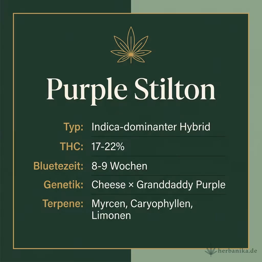 Infografik mit Purple Stilton Key Facts: Typ Indica-dominanter Hybrid, THC 17-22%, Bluetezeit 8-9 Wochen, Genetik Cheese × Granddaddy Purple und Terpene Myrcen, Caryophyllen, Limonen