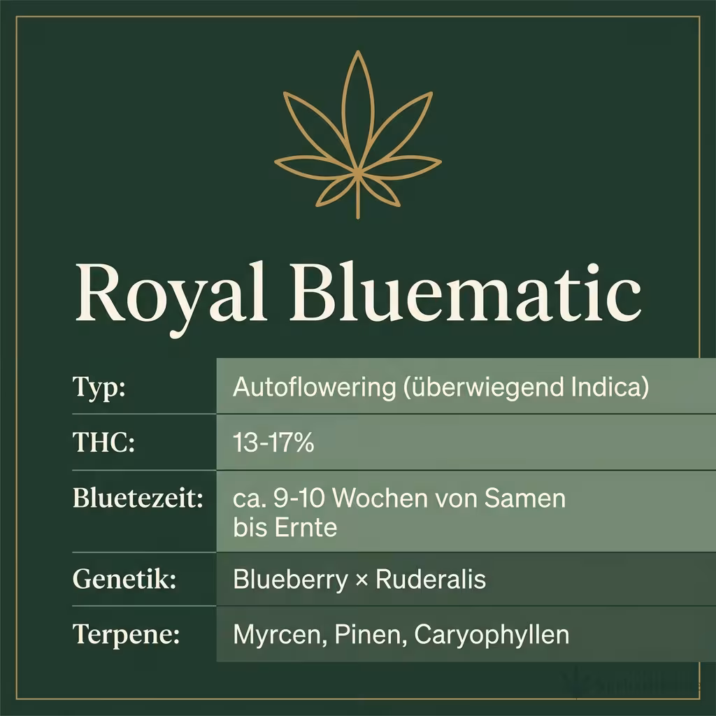 Infografik mit Royal Bluematic Key Facts: Typ Autoflowering (überwiegend Indica), THC 13-17%, Bluetezeit ca. 9-10 Wochen von Samen bis Ernte, Genetik Blueberry × Ruderalis und Terpene Myrcen, Pinen, Caryophyllen