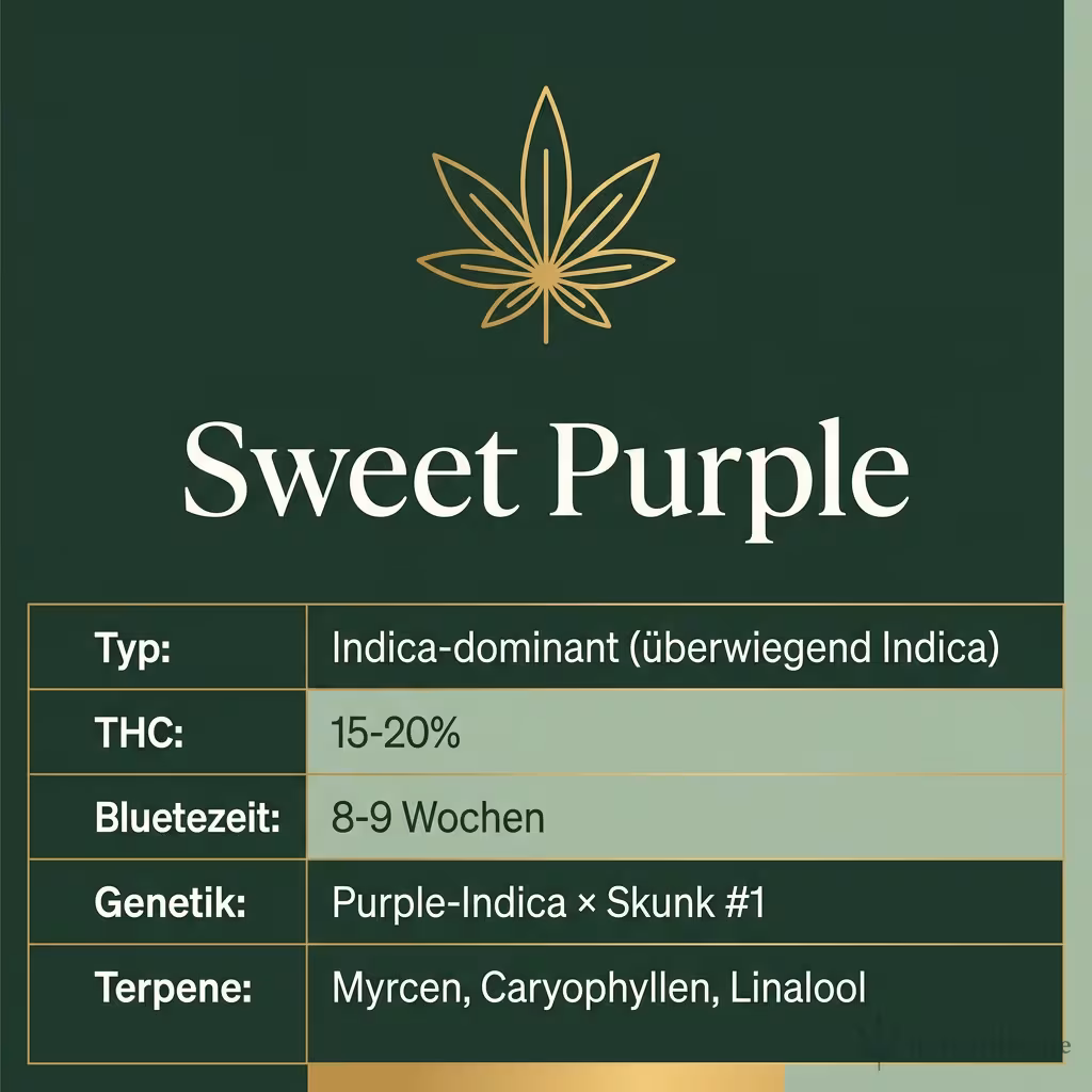 Infografik mit Sweet Purple Key Facts: Typ Indica-dominant (überwiegend Indica), THC 15-20%, Bluetezeit 8-9 Wochen, Genetik Purple-Indica × Skunk #1 und Terpene Myrcen, Caryophyllen, Linalool
