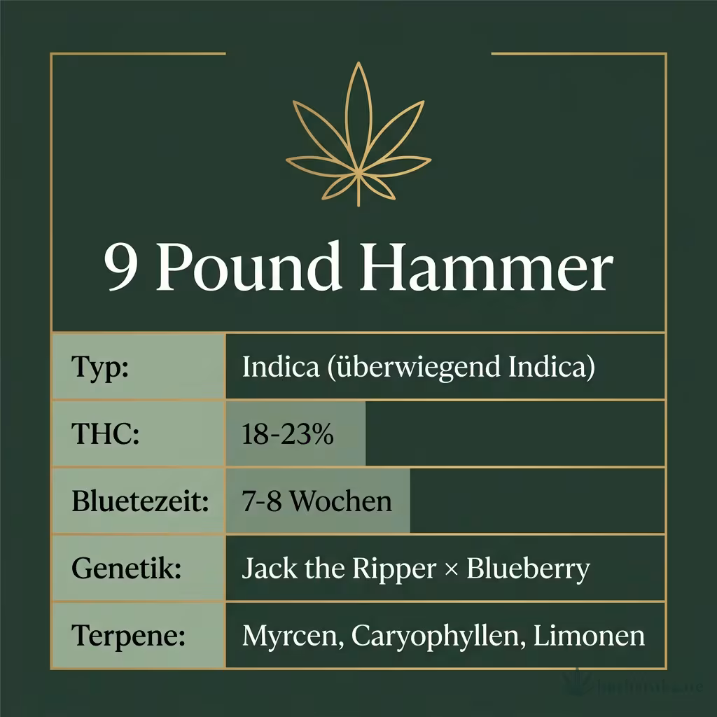 Infografik mit 9 Pound Hammer Key Facts: Typ Indica (überwiegend Indica), THC 18-23%, Bluetezeit 7-8 Wochen, Genetik Jack the Ripper × Blueberry und Terpene Myrcen, Caryophyllen, Limonen