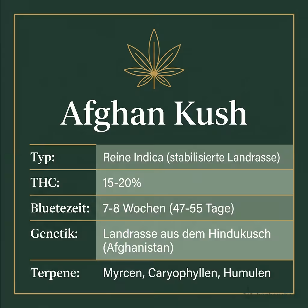 Infografik mit Afghan Kush Key Facts: Typ Reine Indica (stabilisierte Landrasse), THC 15-20%, Bluetezeit 7-8 Wochen (47-55 Tage), Genetik Landrasse aus dem Hindukusch (Afghanistan) und Terpene Myrcen, Caryophyllen, Humulen