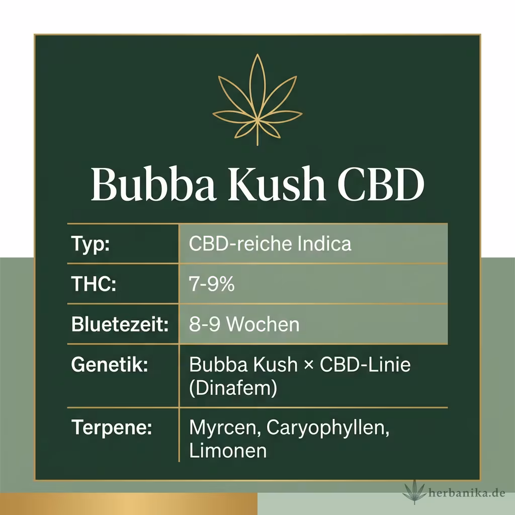 Infografik mit Bubba Kush CBD Key Facts: Typ CBD-reiche Indica, THC 7-9%, Bluetezeit 8-9 Wochen, Genetik Bubba Kush × CBD-Linie (Dinafem) und Terpene Myrcen, Caryophyllen, Limonen