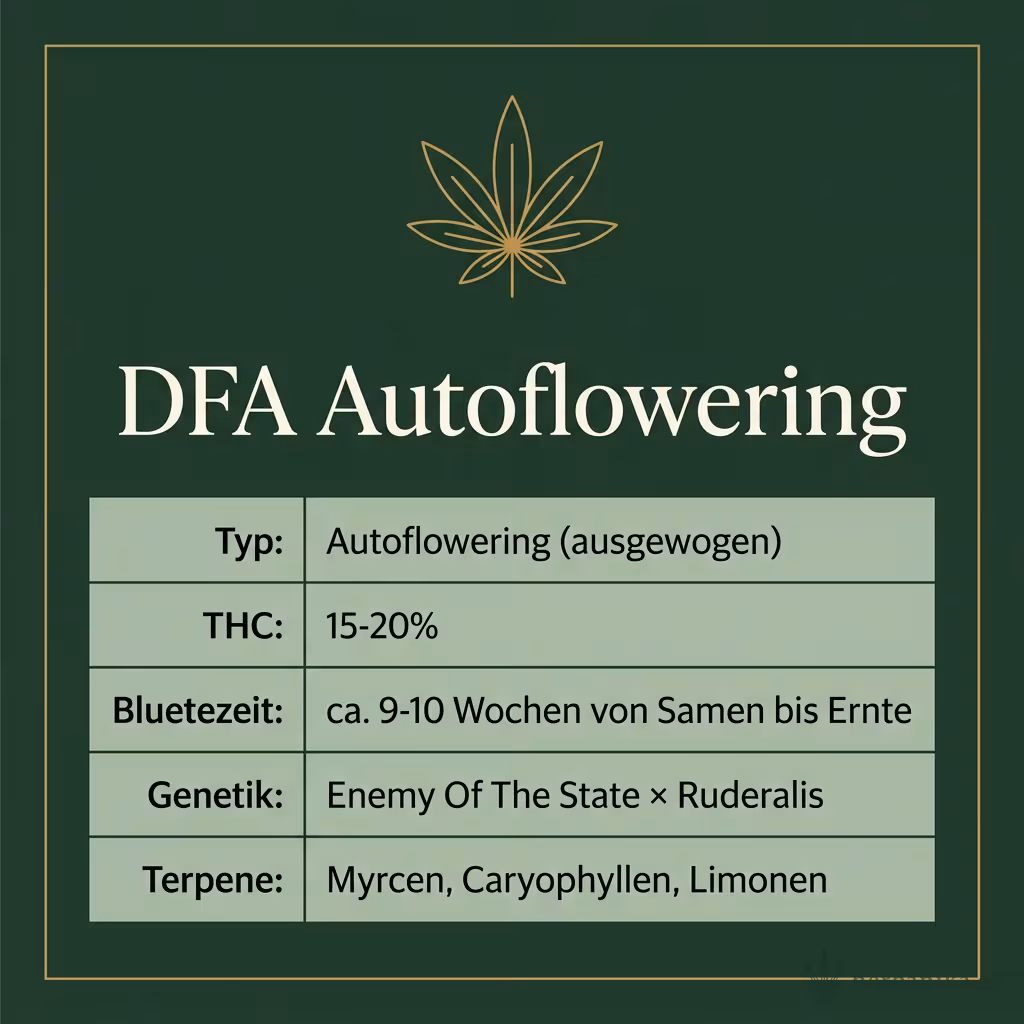 Infografik mit DFA Autoflowering Key Facts: Typ Autoflowering (ausgewogen), THC 15-20%, Bluetezeit ca. 9-10 Wochen von Samen bis Ernte, Genetik Enemy Of The State × Ruderalis und Terpene Myrcen, Caryophyllen, Limonen