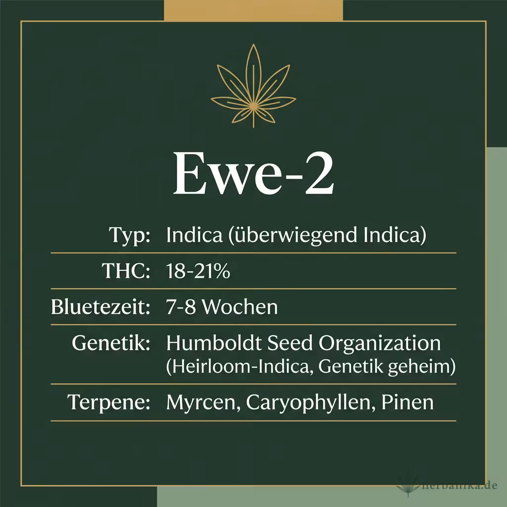 Infografik mit Ewe-2 Key Facts: Typ Indica (überwiegend Indica), THC 18-21%, Bluetezeit 7-8 Wochen, Genetik Humboldt Seed Organization (Heirloom-Indica, Genetik geheim) und Terpene Myrcen, Caryophyllen, Pinen