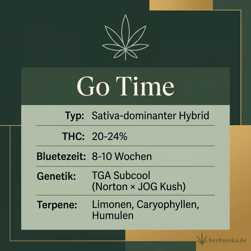 Infografik mit Go Time Key Facts: Typ Sativa-dominanter Hybrid, THC 20-24%, Bluetezeit 8-10 Wochen, Genetik TGA Subcool (Norton × JOG Kush) und Terpene Limonen, Caryophyllen, Humulen