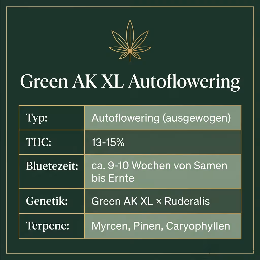 Infografik mit Green AK XL Autoflowering Key Facts: Typ Autoflowering (ausgewogen), THC 13-15%, Bluetezeit ca. 9-10 Wochen von Samen bis Ernte, Genetik Green AK XL × Ruderalis und Terpene Myrcen, Pinen, Caryophyllen