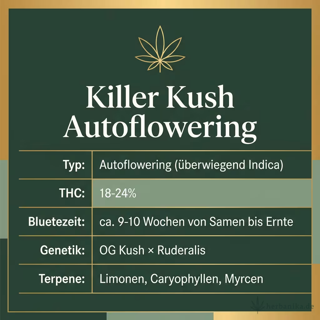 Infografik mit Killer Kush Autoflowering Key Facts: Typ Autoflowering (überwiegend Indica), THC 18-24%, Bluetezeit ca. 9-10 Wochen von Samen bis Ernte, Genetik OG Kush × Ruderalis und Terpene Limonen, Caryophyllen, Myrcen