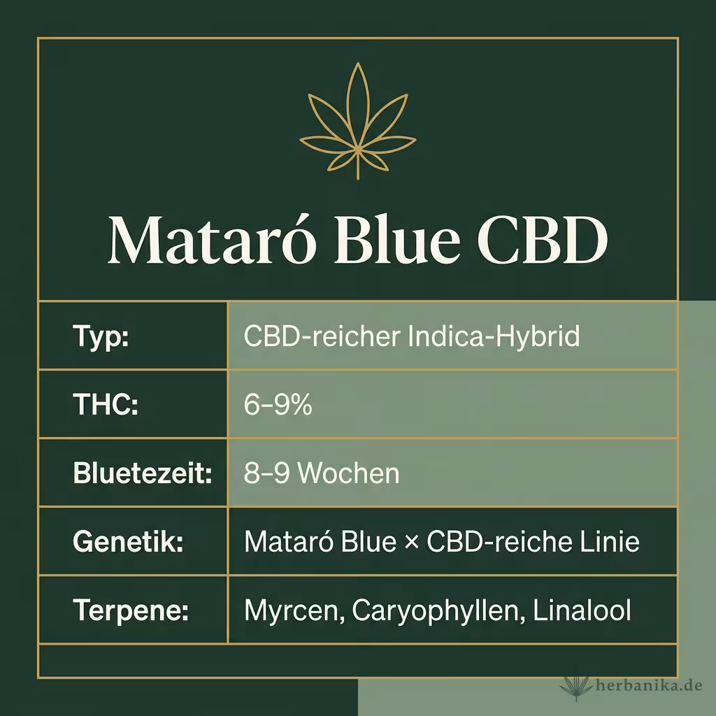 Infografik mit Mataró Blue CBD Key Facts: Typ CBD-reicher Indica-Hybrid, THC 6-9%, Bluetezeit 8-9 Wochen, Genetik Mataró Blue × CBD-reiche Linie und Terpene Myrcen, Caryophyllen, Linalool