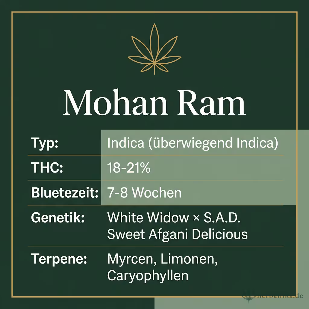 Infografik mit Mohan Ram Key Facts: Typ Indica (überwiegend Indica), THC 18-21%, Bluetezeit 7-8 Wochen, Genetik White Widow × S.A.D. Sweet Afgani Delicious und Terpene Myrcen, Limonen, Caryophyllen