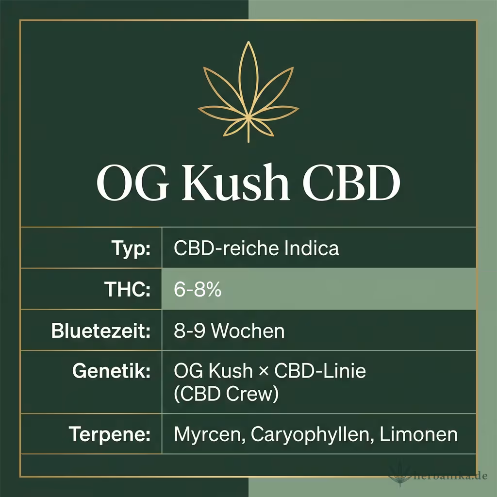 Infografik mit OG Kush CBD Key Facts: Typ CBD-reiche Indica, THC 6-8%, Bluetezeit 8-9 Wochen, Genetik OG Kush × CBD-Linie (CBD Crew) und Terpene Myrcen, Caryophyllen, Limonen