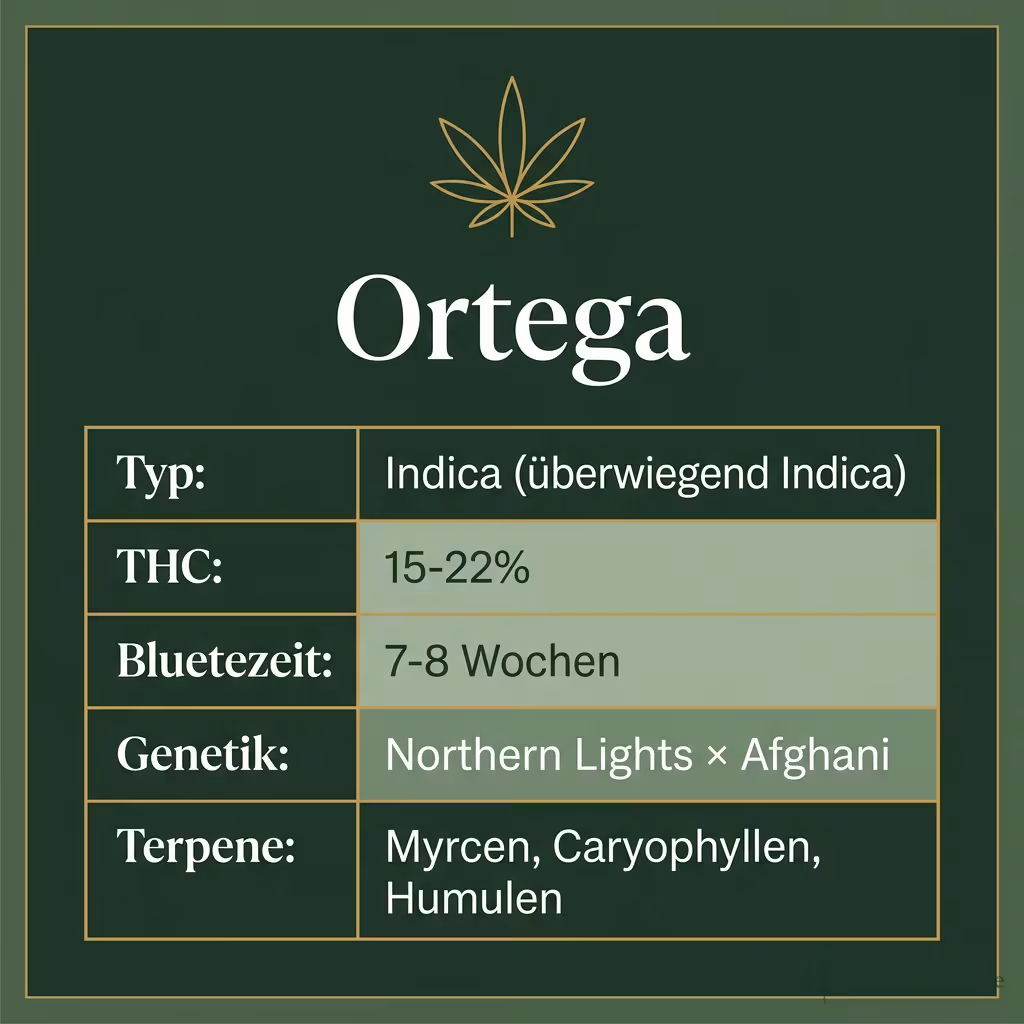 Infografik mit Ortega Key Facts: Typ Indica (überwiegend Indica), THC 15-22%, Bluetezeit 7-8 Wochen, Genetik Northern Lights × Afghani und Terpene Myrcen, Caryophyllen, Humulen