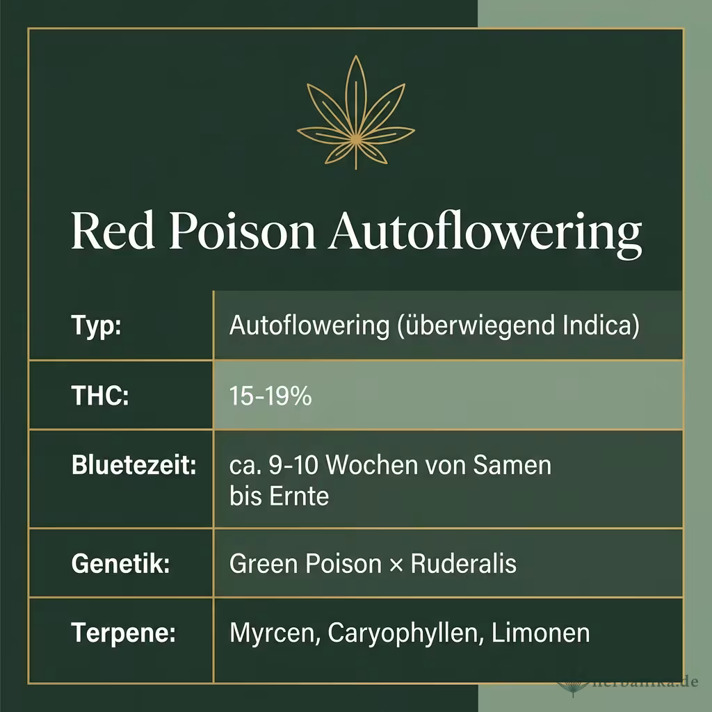 Infografik mit Red Poison Autoflowering Key Facts: Typ Autoflowering (überwiegend Indica), THC 15-19%, Bluetezeit ca. 9-10 Wochen von Samen bis Ernte, Genetik Green Poison × Ruderalis und Terpene Myrcen, Caryophyllen, Limonen